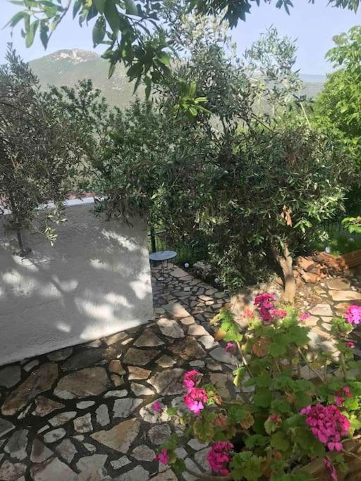 Villa Theisoa.Old Little House In The Garden . Andritsaina. Exterior foto